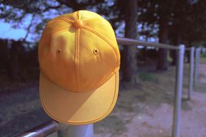 中学入試に役立つ理科の徹底解説！合格への最短ルートを徹底分析