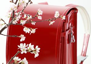 福岡で美容師・エステティシャン・メイクアップアーティスト・ネイリストを育成する専門学校【福岡ビューティーアート専門学校】の全貌